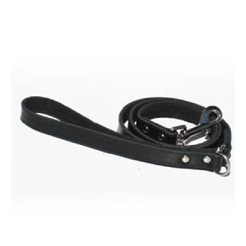 Dog Leads